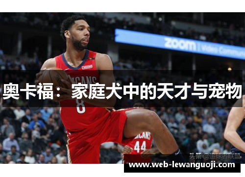 奥卡福：家庭犬中的天才与宠物
